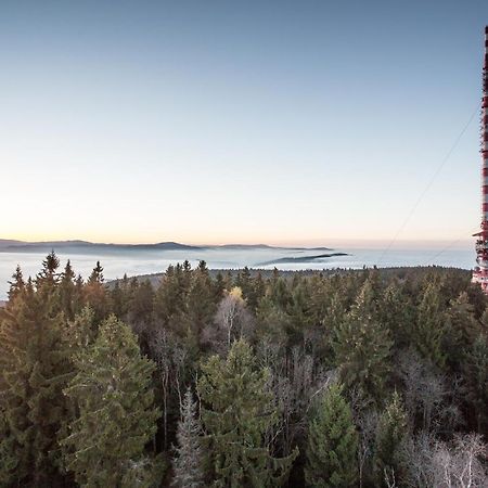 Hostinec Na Letne - Penzion Zlata Koruna Экстерьер фото